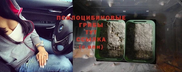 трава Баксан