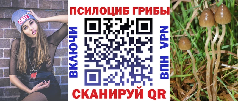 Псилоцибиновые грибы GOLDEN TEACHER Торжок